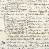 Waitangi treaty copy