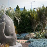 The wars of Waitara - roadside stories