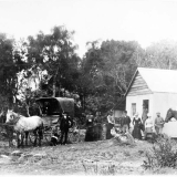 Women voting in 1893