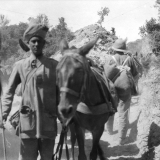 Sikh soldier with mule on Gallipoli