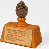 Chunuk Bair pine cone