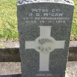 One family's story – the 1918 influenza pandemic