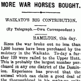 Purchasing Waikato horses for war