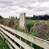 Moturoa NZ Wars memorial