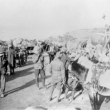 Mule Gully, Gallipoli