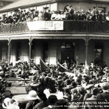 Nelson welcomes home Gallipoli wounded