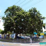 New Lynn School memorial