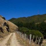 Old Coach Road