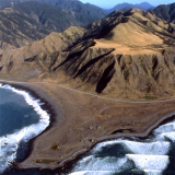 Palliser Bay