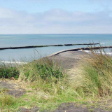 Pātea Port Works