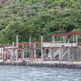 Perano Whaling Station