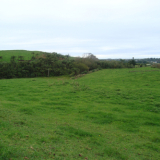 Puketakauere
