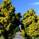 Ruru Lawn cemetery memorials