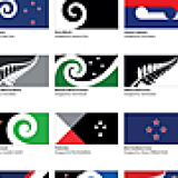 2016 flag referendum long list