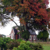 St Luke's church and memorial oak, Waerenga-a-hika