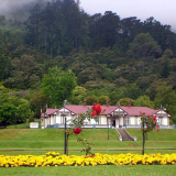 Te Aroha Springs Reserve