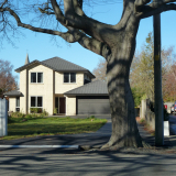 Papanui war memorial avenues