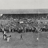 Demonstration in Victoria Park, Auckland 