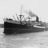 The steamer <em>Westmoreland</em>