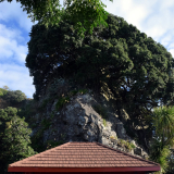 Whakatāne Memorial Rest Room