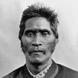 Wiremu Tāmihana Tarapipipi Te Waharoa