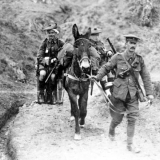 Wounded Scottish soldiers