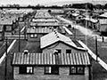 Featherston Camp panorama