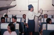 Aircraft disinsection