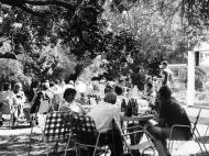 Takapuna beer garden