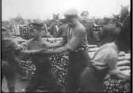 Film: fighting at the Somme and Messines