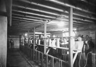Inhalation chamber during the 1918 influenza pandemic