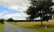 Harwarden Waikari memorial avenue