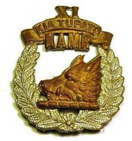 11th (North Auckland) Mounted Rifles squadron