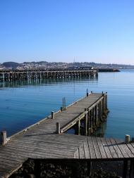 Oamaru Harbour today