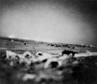 Artillery fire at El Alamein