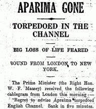 Report on the loss of the <em>Aparima</em>