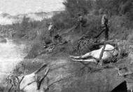 Dead horses by the River Jordan