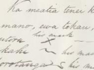 Bay of Plenty treaty copy