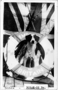 Borax, the mascot