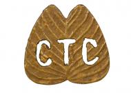 Camel Transport Corps badge