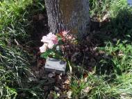 Nurse Isabel Clark memorial