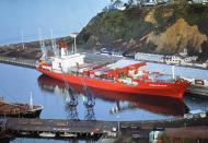 The <em>Columbus New Zealand</em>