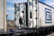 Quarantine officer checking container