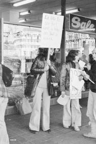 Domestic Purposes Benefit protest