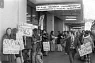 Domestic Purposes Benefit demonstration