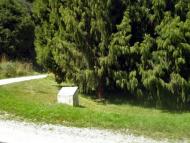 Glencoe memorial grove