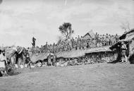 Captain Gilbert Mair and his Arawa Flying Column