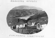 Houses near Pencarrow Lighthouse