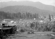 Seddonville