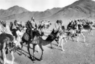 Mounted Arab troops